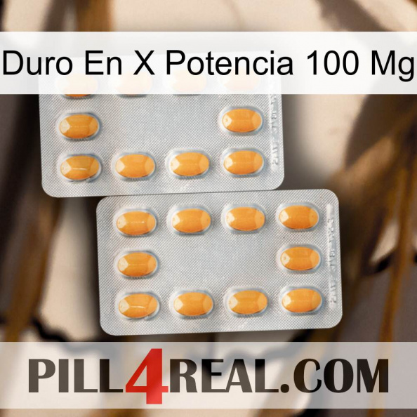 Hard On X Power 100 Mg cialis4.jpg